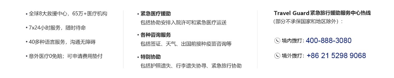 AIG Travel紧急旅行援助服务